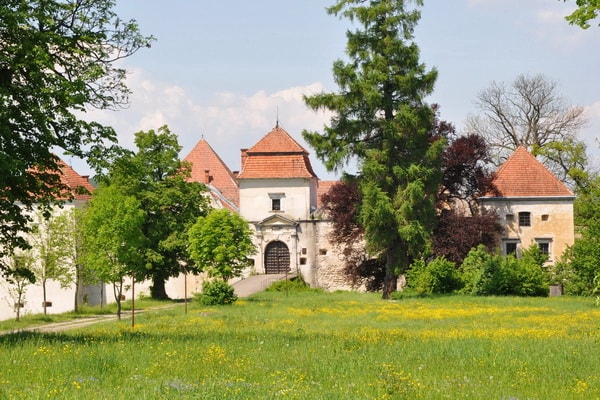 У пошуках скарбів (весела мандрівка з піратами)